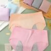Period Panty