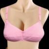 Shapes Bra Simple Jarcy