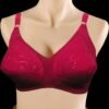 Shapes Bra Beauty Secret
