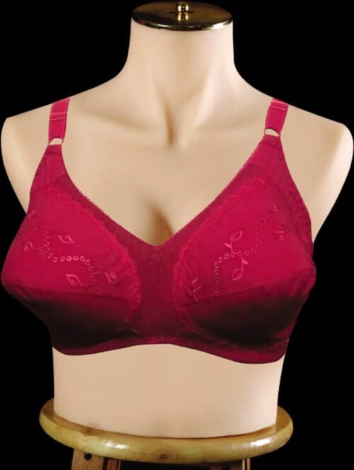 Shapes Bra Beauty Secret