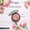 Glamorous Terra Cotta Highlighter