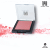 Musarrat Misbah Stay On Blusher