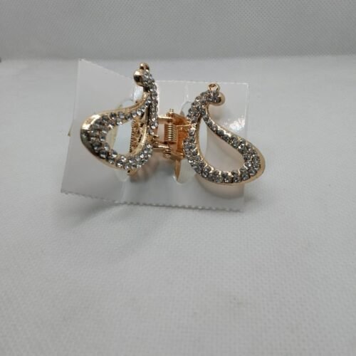 WhatsApp Image 2025-07-24 at 6.09.32 PM trendy metal hair clip