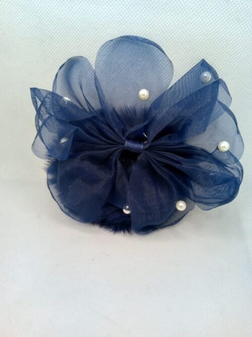 WhatsApp Image 2025-07-27 at 5.43.17 PM Fancy Poni