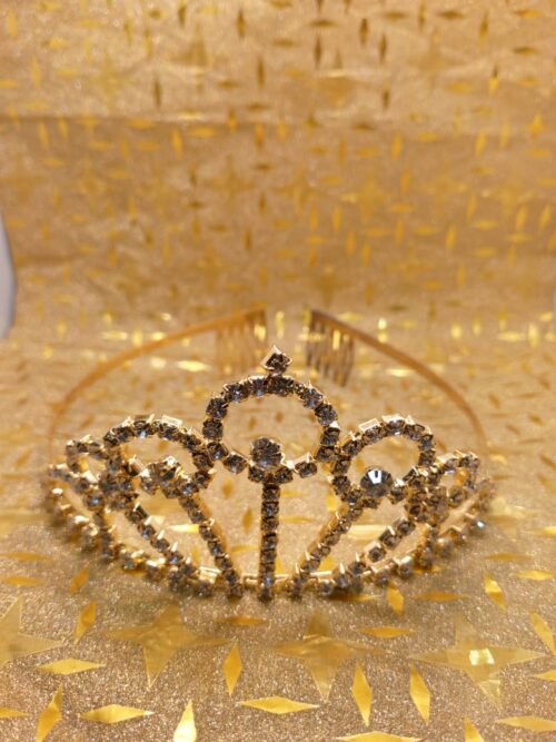 WhatsApp Image 2025-07-27 at 6.04.01 PM Hair Crown