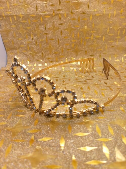 WhatsApp Image 2025-07-27 at 6.04.02 PM (1) Hair Crown