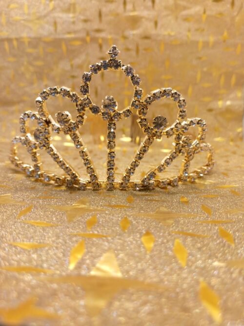 WhatsApp Image 2025-07-27 at 6.04.02 PM Hair Crown