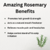 Hemani Rosemary Herbal Oil 30ml