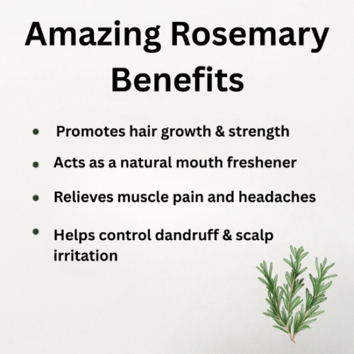 Hemani Rosemary Herbal Oil 30ml