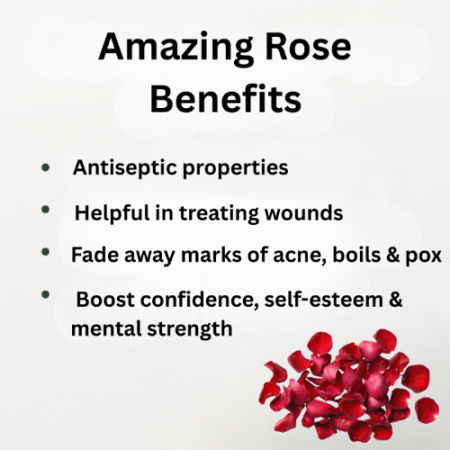 0012985_herbal-oil-30ml-rose_550 Hemani Herbal Rose Oil 30ml