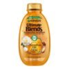Garnier Argan Oil and Camellia Oil Shampoo for Dull Hair