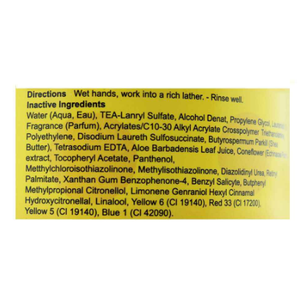 Body Luxuries Forever Sunshine Antibacterial Hand Wash (500ml)