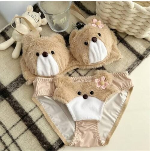 WhatsApp Image 2026-01-17 at 2.48.16 PM (1) Cute & Soft Teddy Bra Set