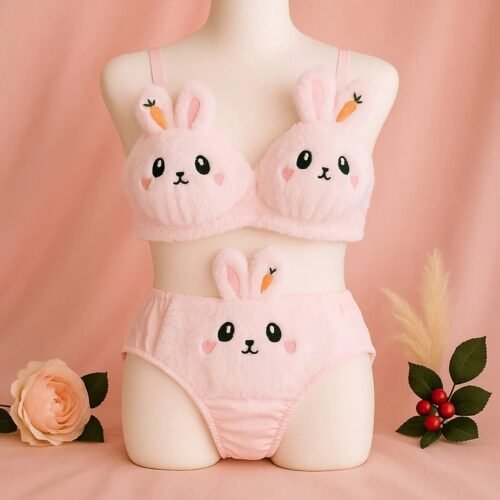 Cute & Soft Teddy Bra Set