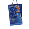 Frozen Elsa Gift Bag