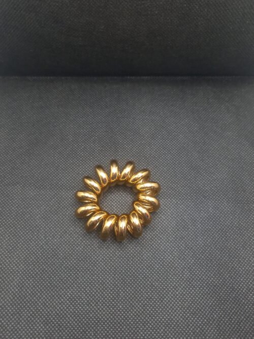 20260207_143134 Spiral Hair Tie