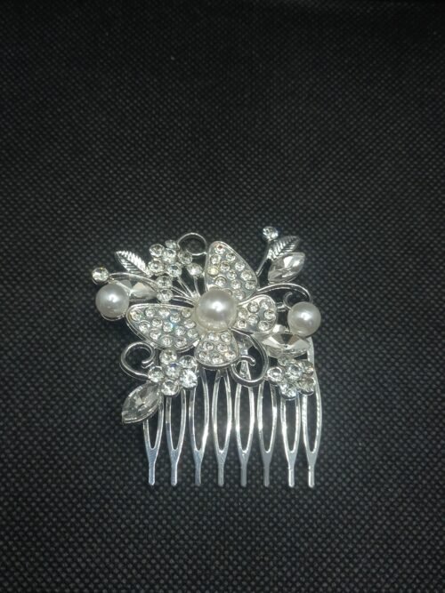 20260207_172339 Fancy Butterfly Hair Clip