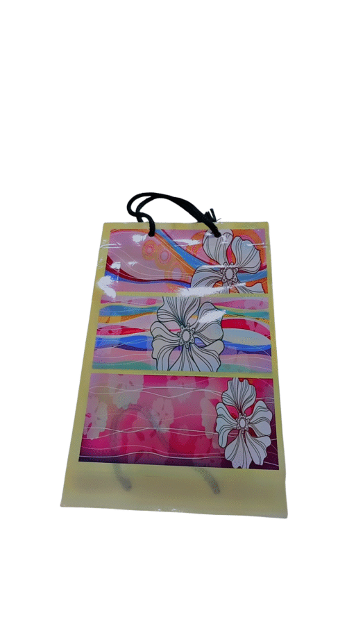 Elegant Gift Bag