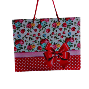 Stylish Gift Bag