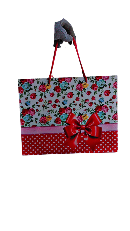 Stylish Gift Bag
