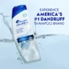 Head & Shoulders Classic Clean Anti-Dandruff Shampoo