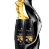 Fresh.N.Joy  Shampoo - Black Shine with Bio Functional Corn Extract