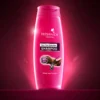 Fresh.N.Joy Shampoo - Hair Fall Solution