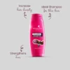 Fresh.N.Joy Shampoo - Hair Fall Solution