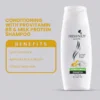Fresh.N.Joy Shampoo - Conditioning with Provitamin B5 & Milk Proteint